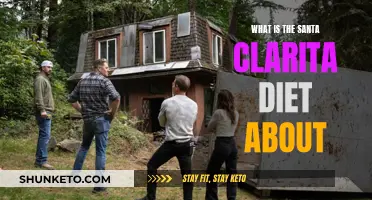 Santa Clarita Diet: A Fun Twist on Zombie Life