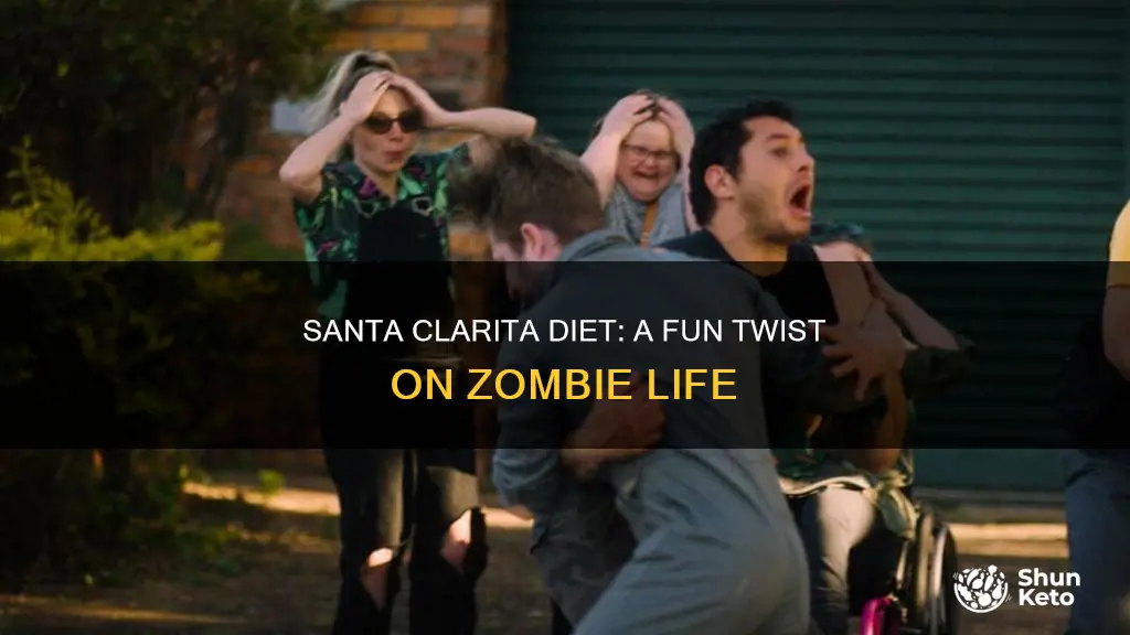 what is the santa clarita diet about