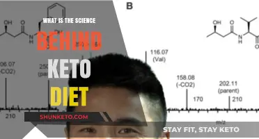 Unveiling the Science: How the Keto Diet Reshapes Metabolism