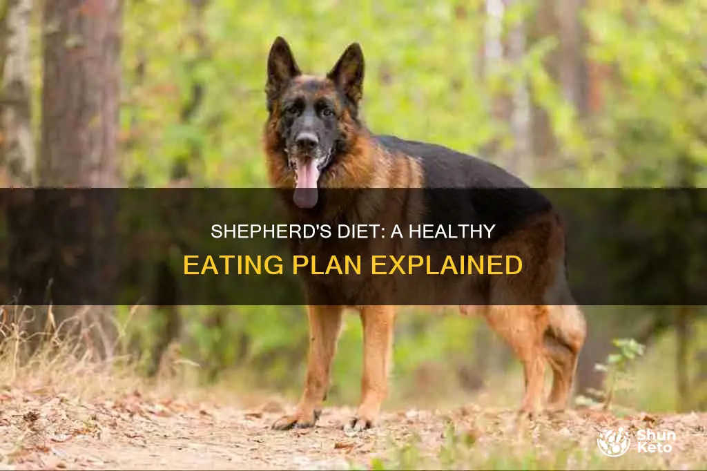 what is the shepherd diet plan