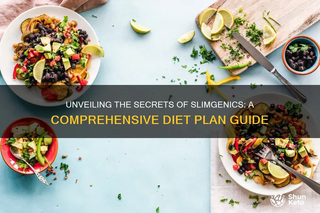 what is the slimgenics diet plan