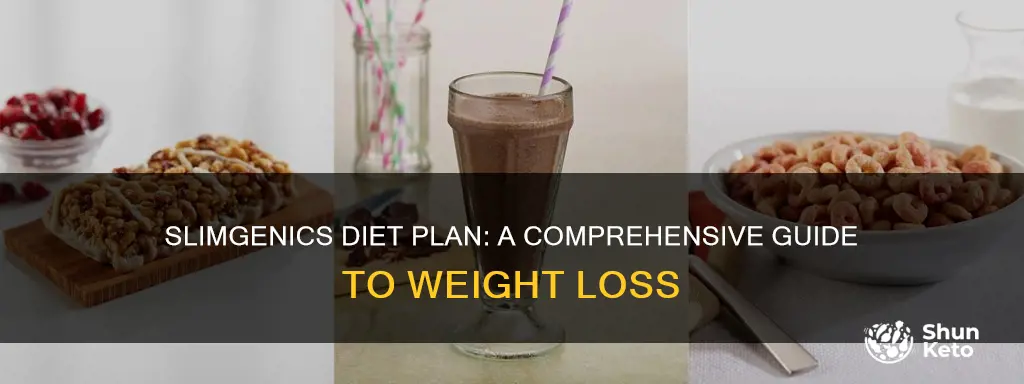 what is the slimgenics diet plan