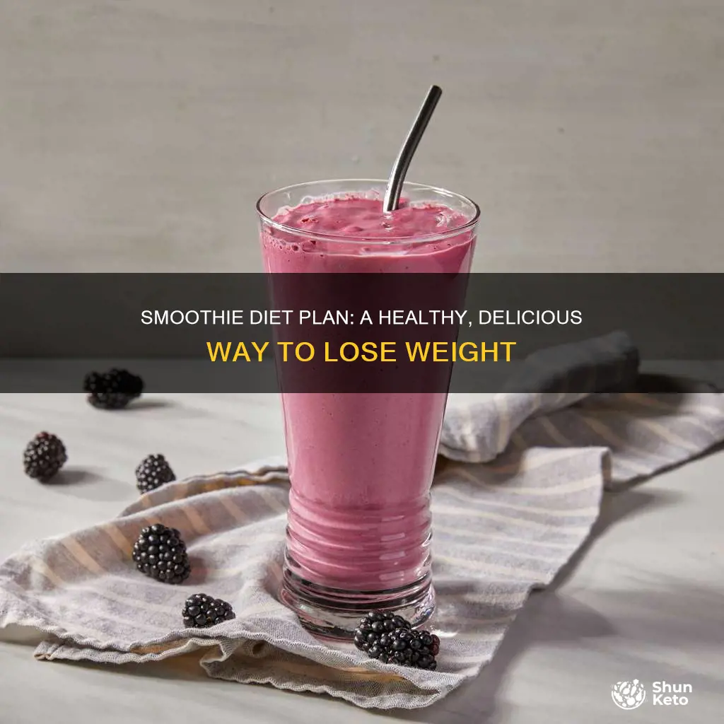 what is the smoothie diet plan