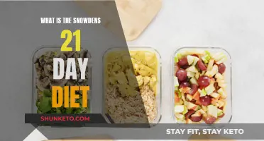 Snowden's Diet Plan: 21 Days to a New You