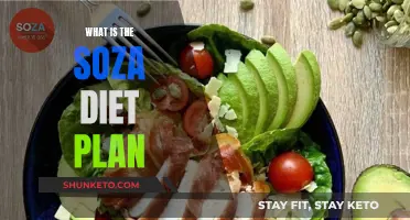 Unveiling the Soza Diet Plan: A Comprehensive Guide