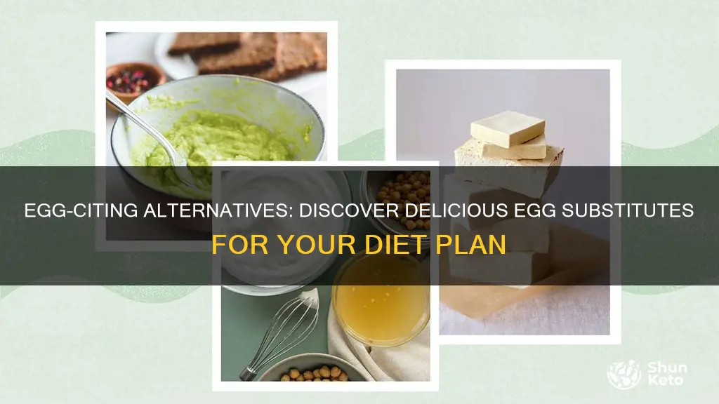 what is the substitute for egg in diet plan