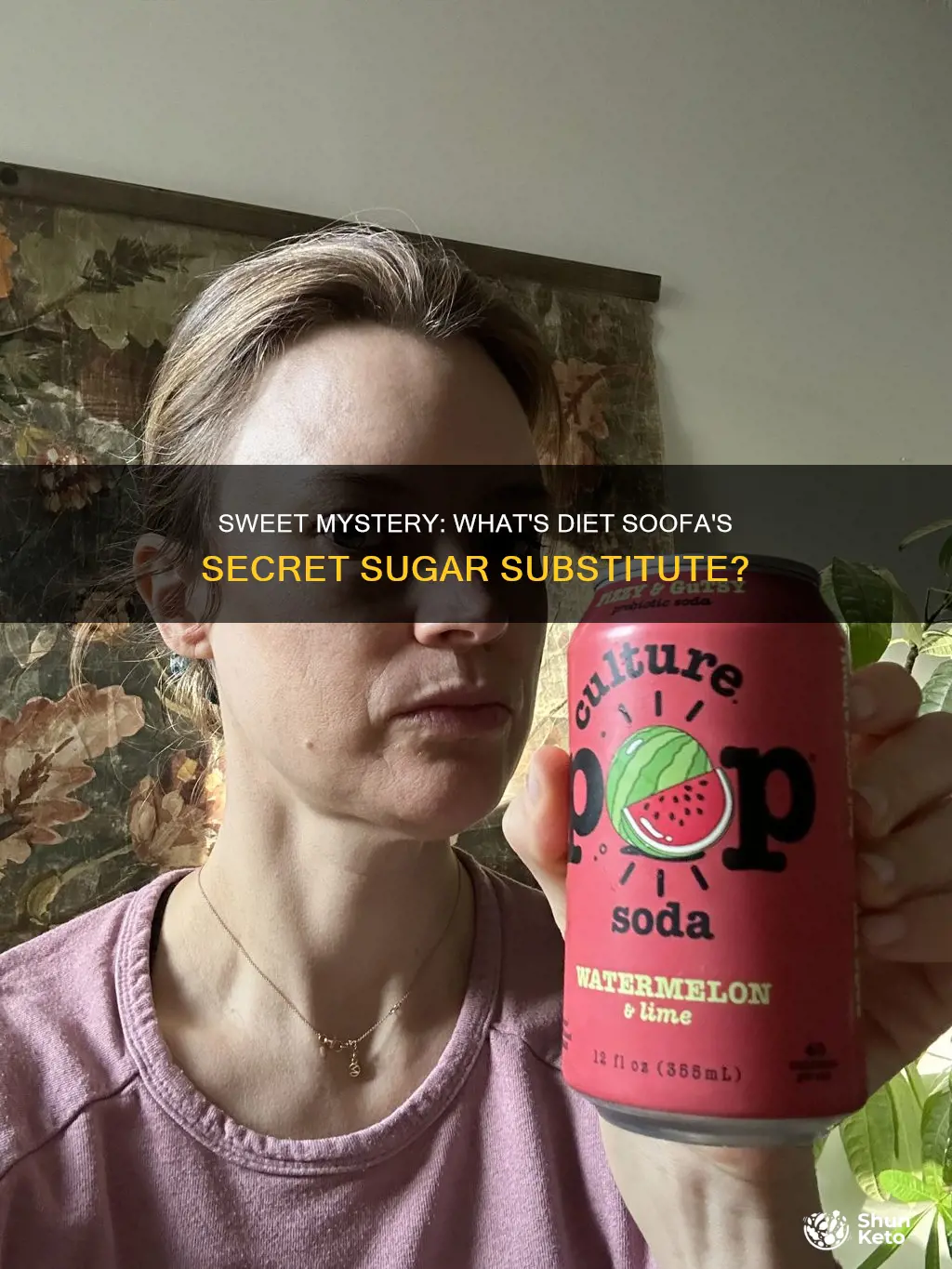 what is the sugar substitue in diet soofa