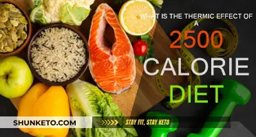 Understanding the Thermic Effect of Food on a 2500-Calorie Diet