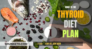 Thyroid Diet: Understanding Your Body's Needs for Optimal Health