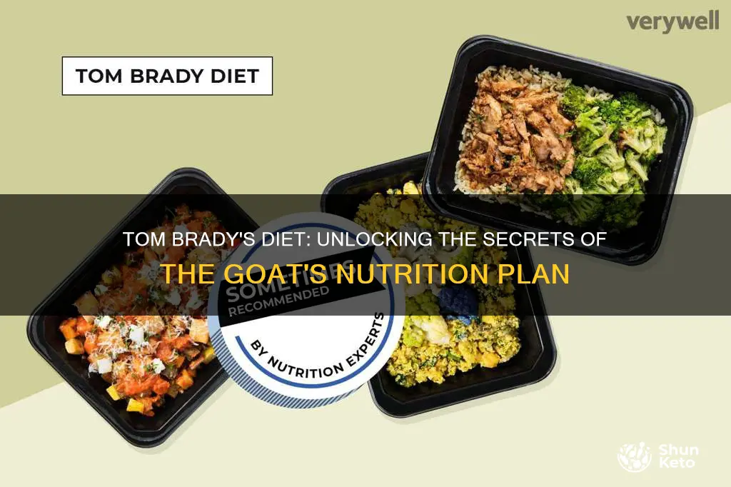 what is the tom brady diet plan