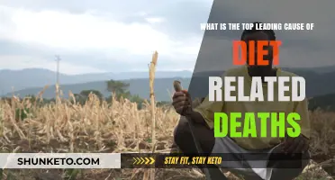 Diet-Related Deaths: The Top Killer Revealed