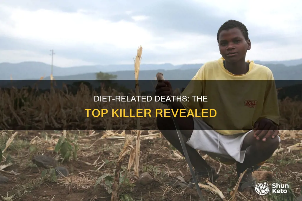 what is the top leading cause of diet related deaths