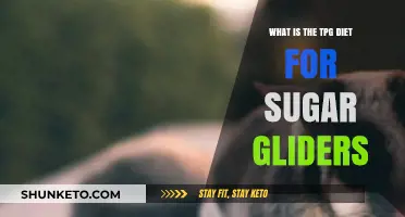 Sugar Gliders' TPG Diet: What, Why, and How?