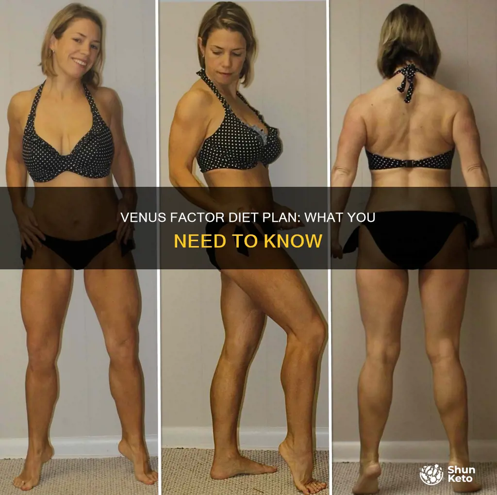 what is the venus factor diet plan