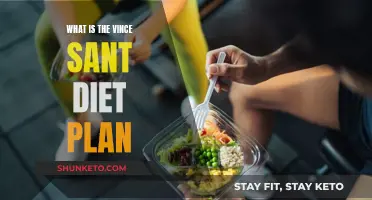 Unveiling the Vince Sant Diet Plan: A Comprehensive Guide