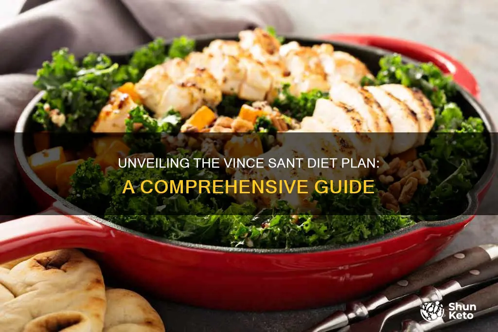 what is the vince sant diet plan