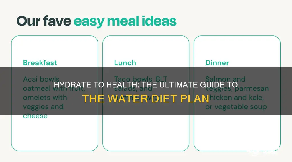 what is the water diet plan