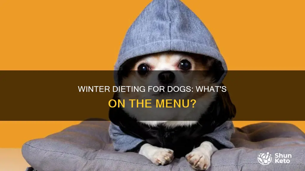 what is the winter diet for a dog