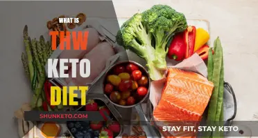 Understanding the Keto Diet: A Beginner's Guide to Low-Carb Eating