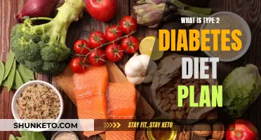 Understanding Type 2 Diabetes: A Comprehensive Diet Plan Guide