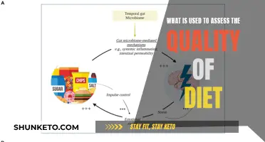 Assessing Diet Quality: Tools and Techniques for Nutritionists