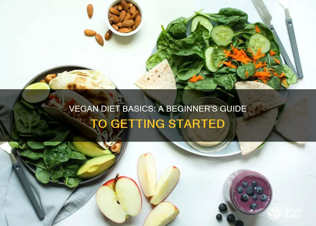 what is vegan diet for beginners