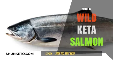 Discovering Wild Keta Salmon: Nutrition, Taste, and Sustainable Fishing Practices