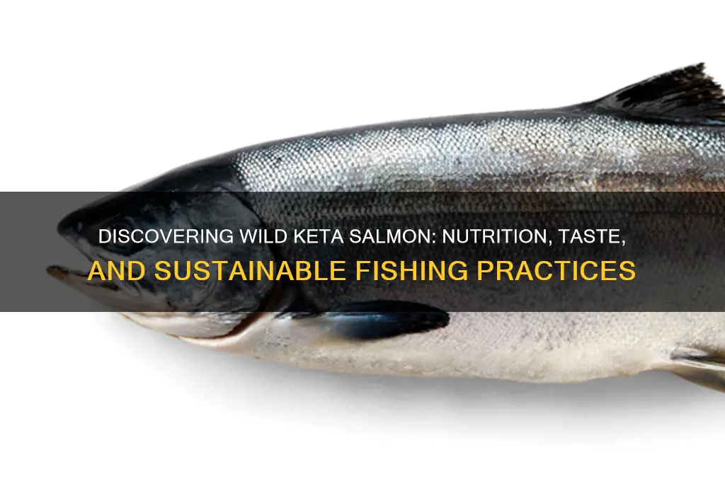 what is wild keta salmon