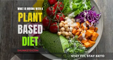 Plant-Based Diets: Are They Really Healthy?