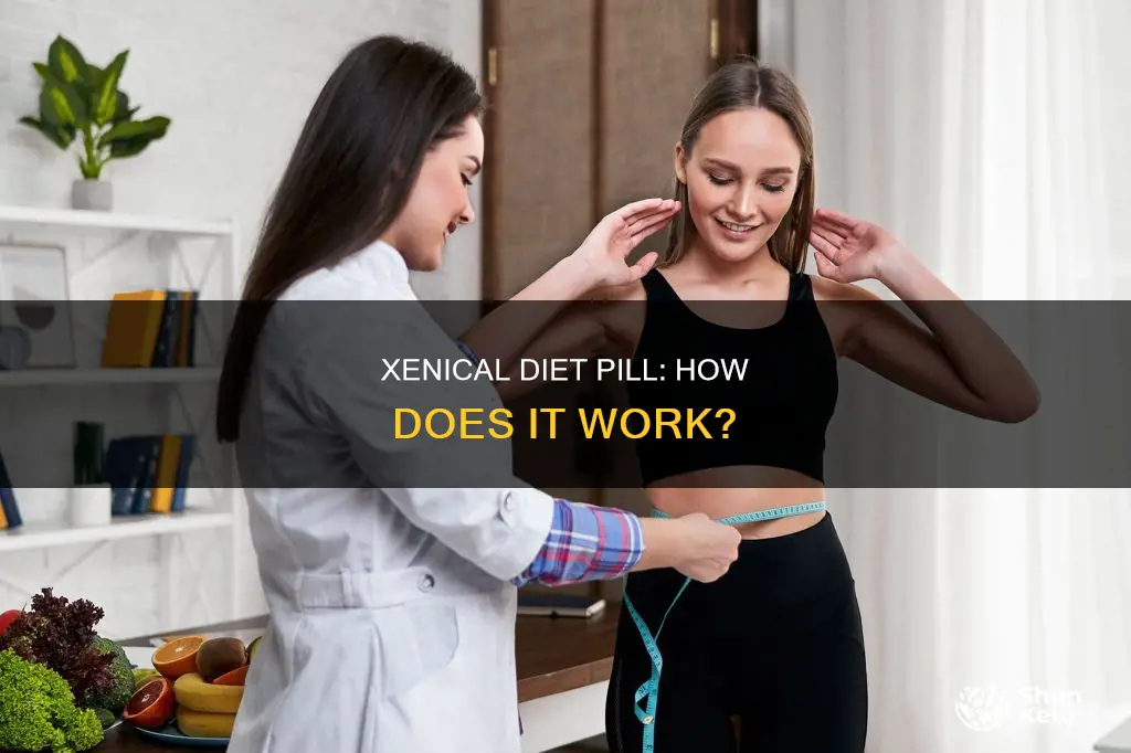 what is xenical diet pill