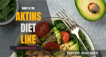 Aktins Diet: A Comprehensive Guide to Eating Like a Pro