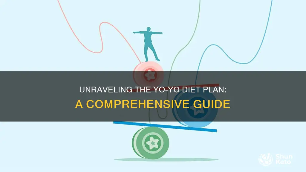 what is yo yo diet plan