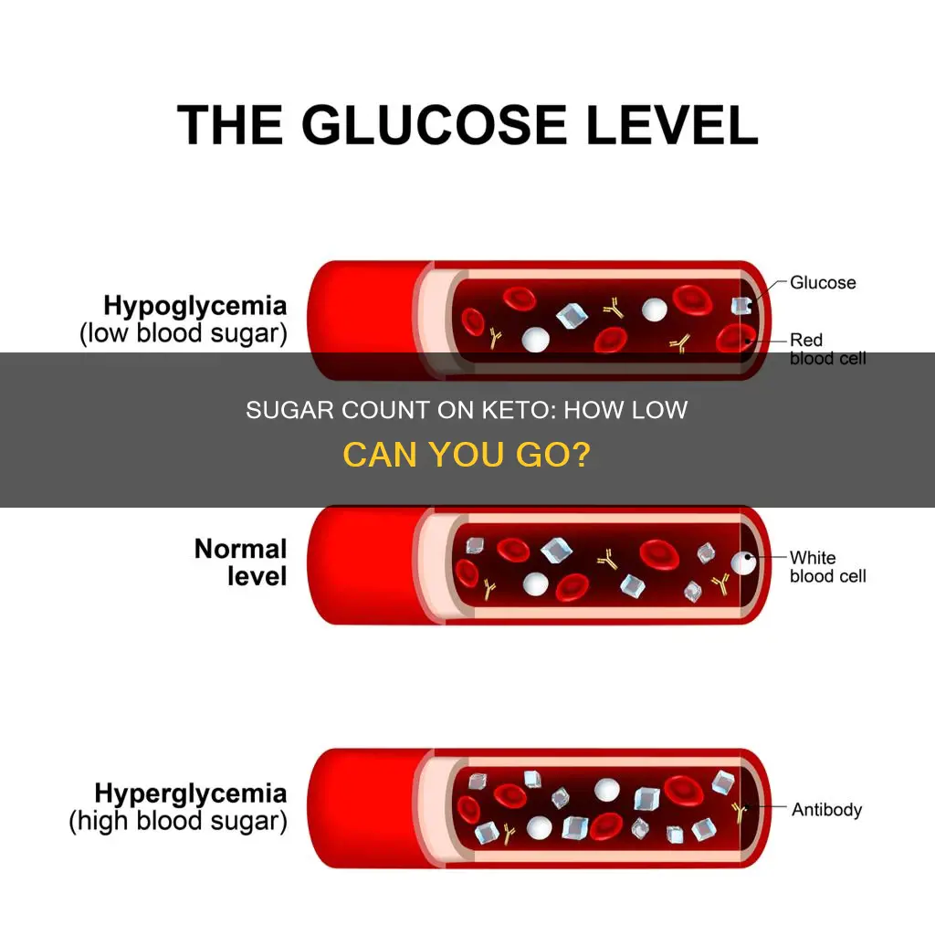 what is your sugar count on keto