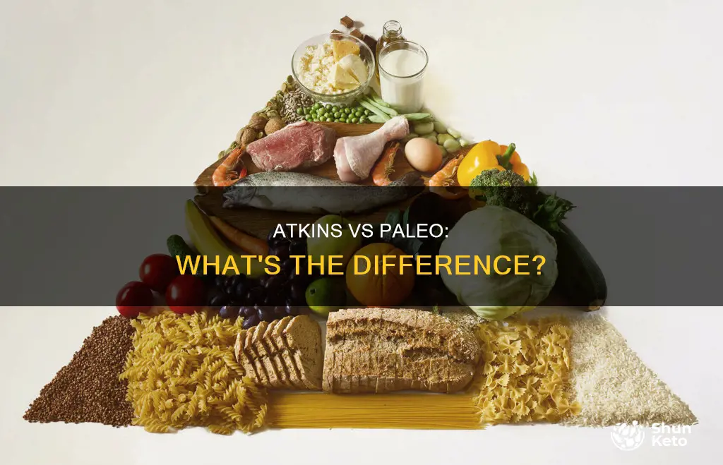 what isthedifferance in atkins and paelto diets