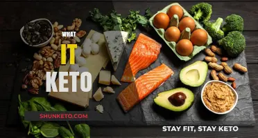 Understanding the Keto Diet: Benefits, Basics, and How to Start