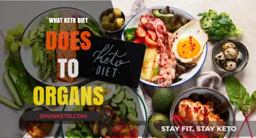 Keto Diet's Impact: How Organs Respond to Low-Carb Ketosis