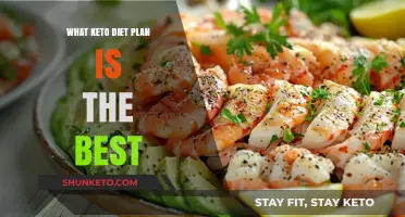 Discover the Optimal Keto Diet Plan for Your Lifestyle