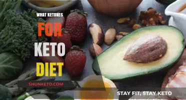 Understanding Ketones: Essential Role in a Successful Keto Diet Plan