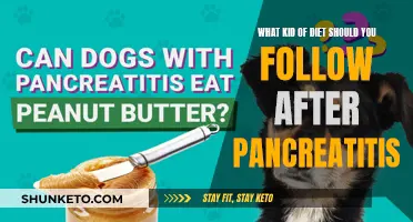 Pancreatitis Diet: What to Eat and What Not to Eat
