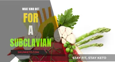 Nutrition for Subclavian Health: Dietary Tips for Optimal Recovery