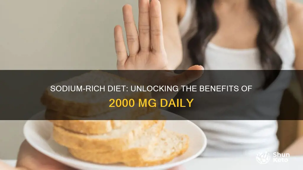 what kind of 2000 mg sodium diet