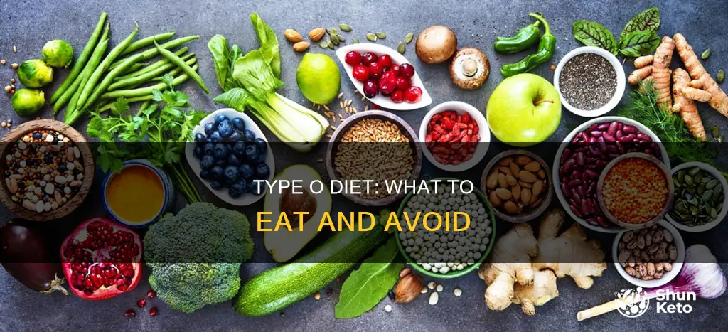 what kind of a diet does type o need
