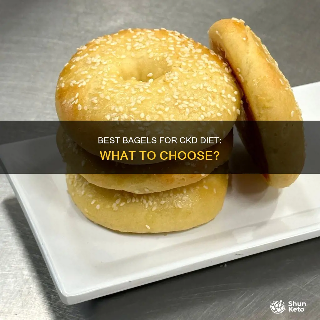 what kind of bagel is ok on ckd diet