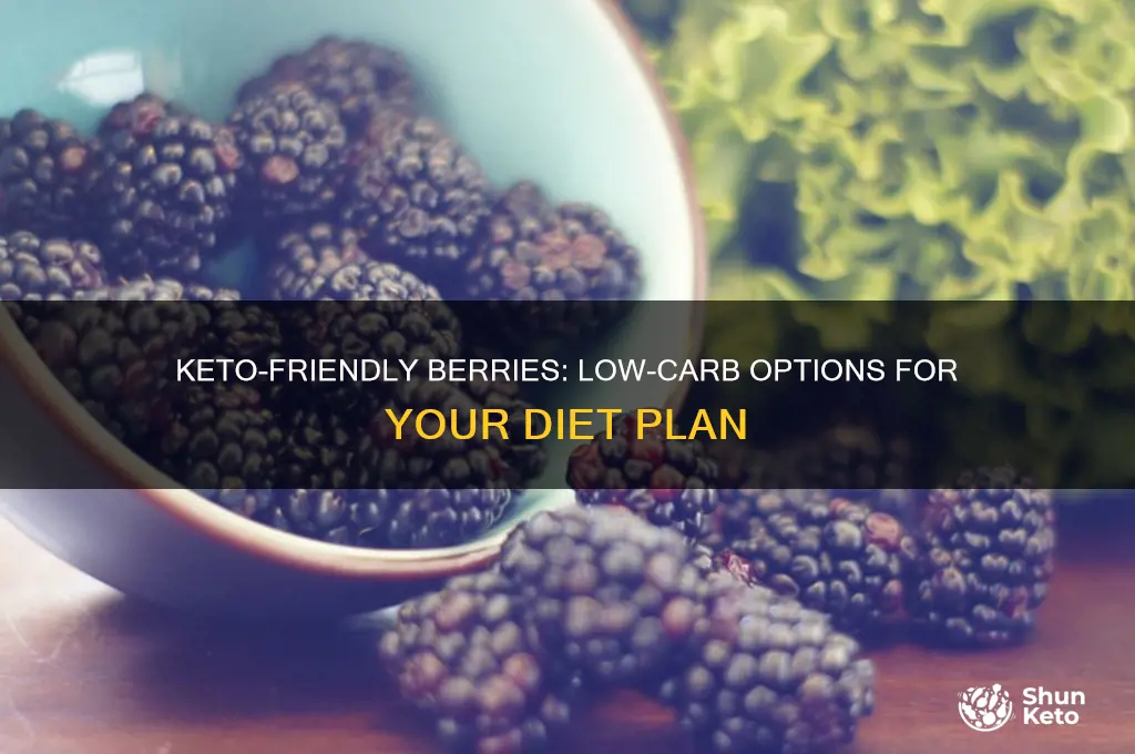 what kind of berries can you have on keto diet