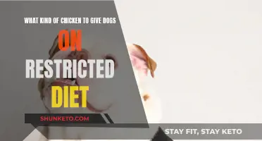 Chicken for Dogs: Restricted Diets and Best Breeds