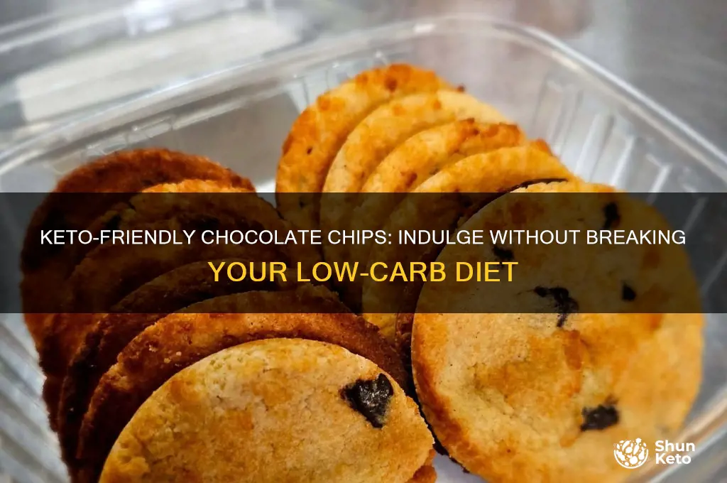 what kind of chocolate chips can you eat on keto