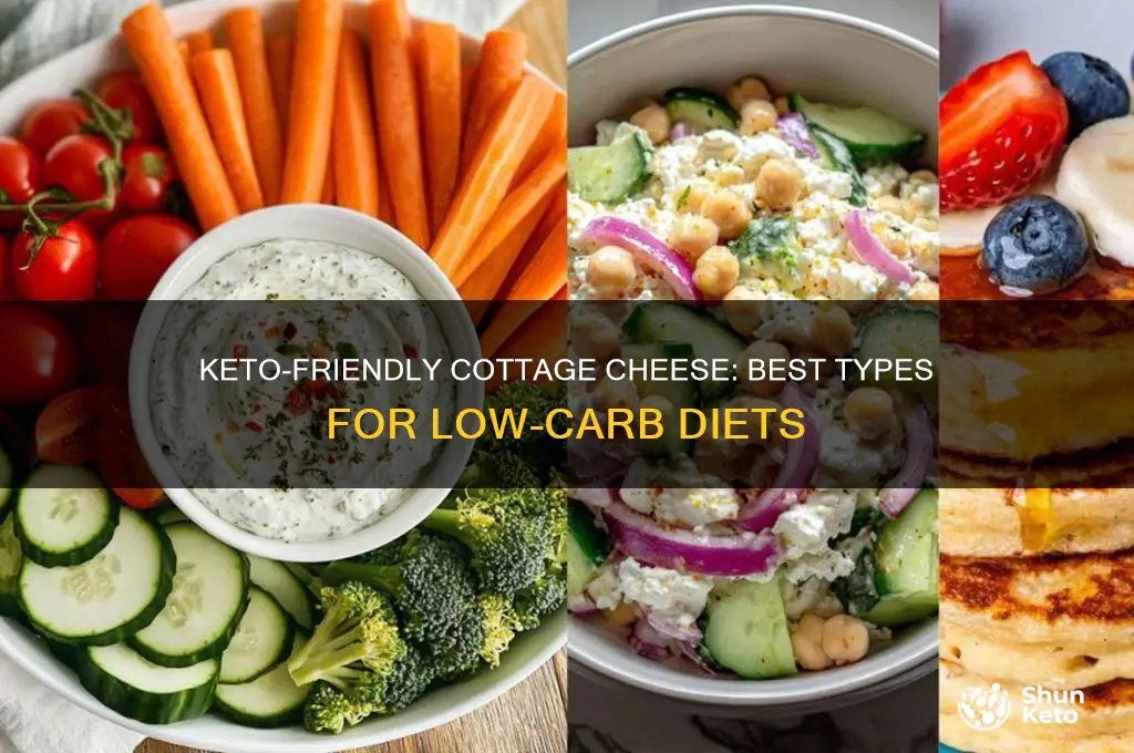what kind of cottage cheese on keto diet