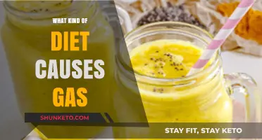 Diet and Gas: What You Need to Know
