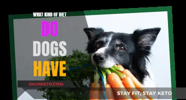 Dog Diet: What's on the Menu for Our Canine Friends?