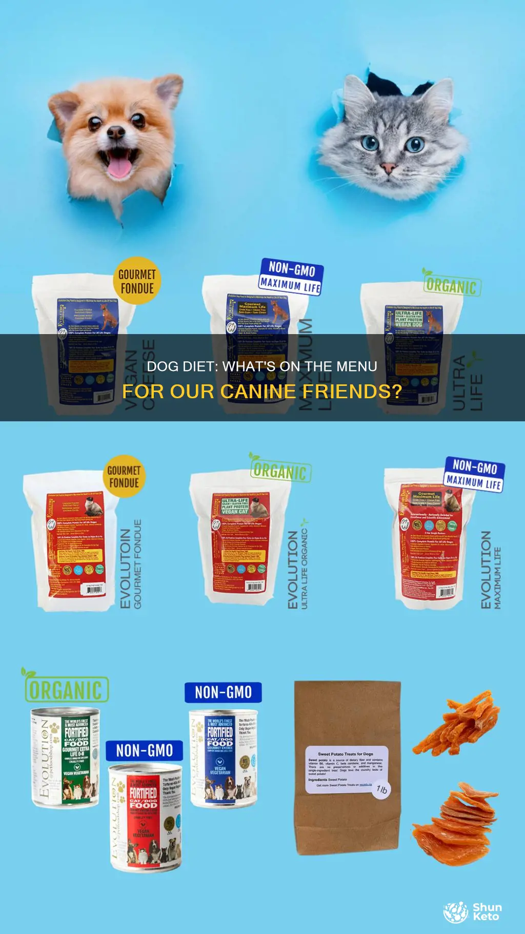 what kind of diet do dogs have